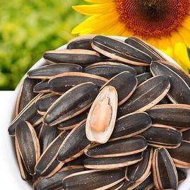 湖北襄陽(yáng)樊城區(qū)湖北恒橋農(nóng)產(chǎn)品 - 一畝田